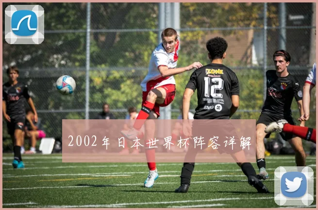 2002年日本世界杯阵容详解