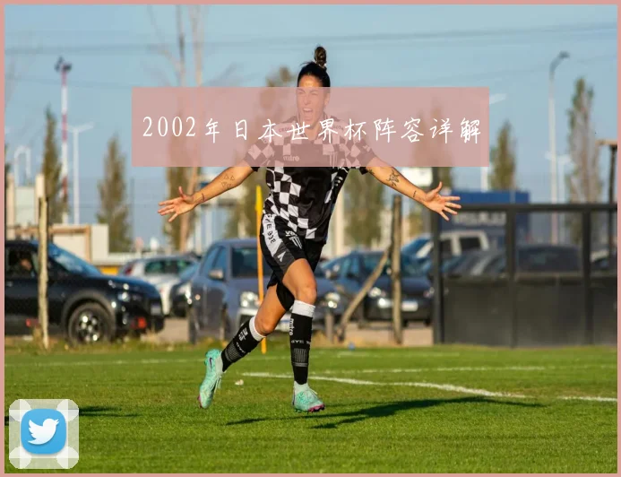 2002年日本世界杯阵容详解